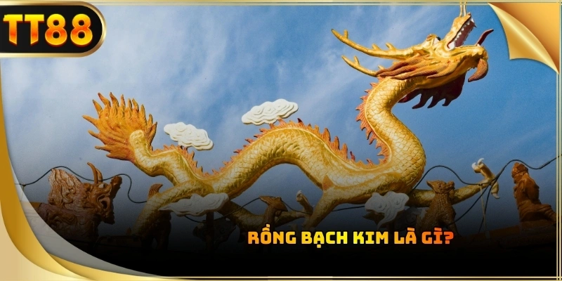Rồng Bạch Kim là phương pháp dự đoán xổ số hoàn toàn minh bạch